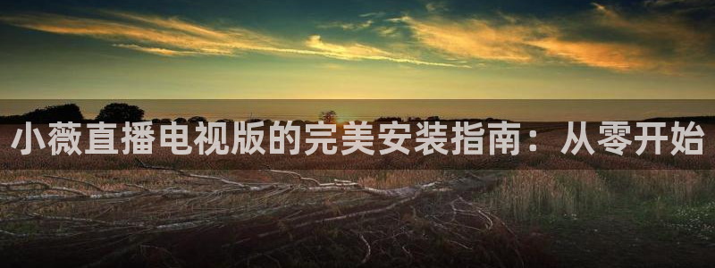 河豚直播：小薇直播电视版的完美安装指南：从零开始