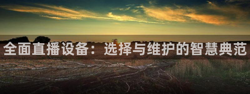 河豚体育nba直播在线观看：全面直播设备：选择与维护的智慧典范
