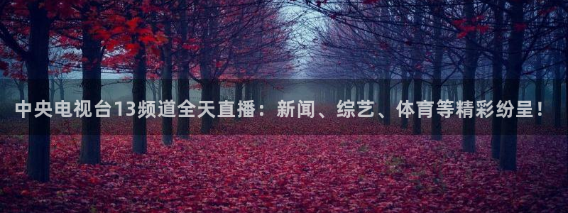 河豚体育app下载：中央电视台13频道全天直播：新闻、综艺、体育等精彩纷呈！