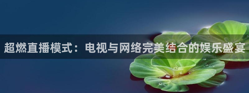 河豚体育直播在线观看：超燃直播模式：电视与网络完美结合的娱乐盛宴