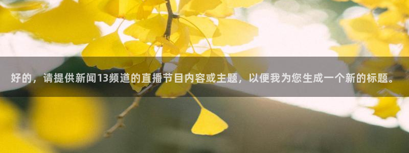 河豚体育nba直播：好的，请提供新闻13频道的直播节目内容或主题，以便我为您生成一个新的标题。