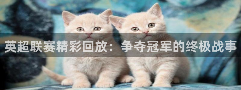 河豚体育篮球直播：英超联赛精彩回放：争夺冠军的终极战事