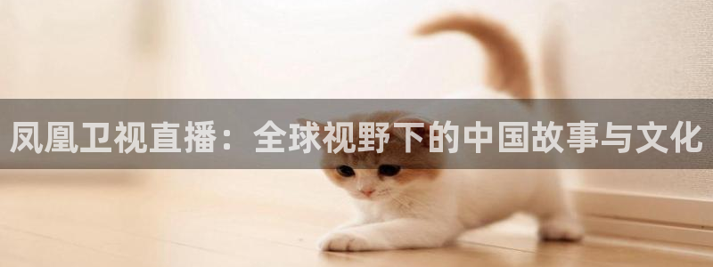 河豚体育直播app官网下载：凤凰卫视直播：全球视野下的中国故事与文化