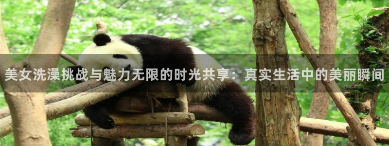 河豚体育足球直播：美女洗澡挑战与魅力无限的时光共享：真实生活中的美丽瞬间