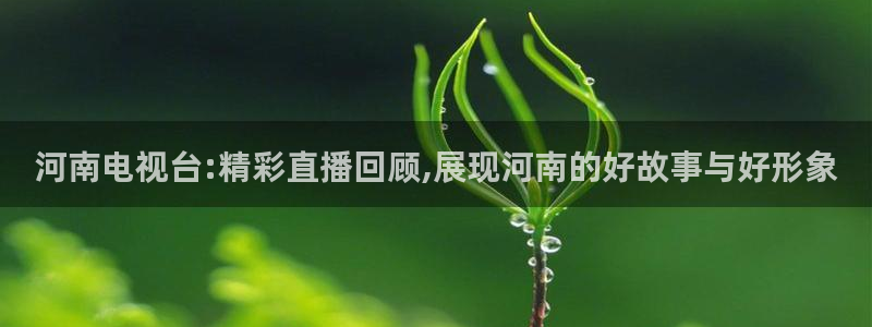 河豚体育直播官网：河南电视台:精彩直播回顾,展现河南的好故事与好形象