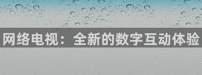 河豚面：网络电视：全新的数字互动体验
