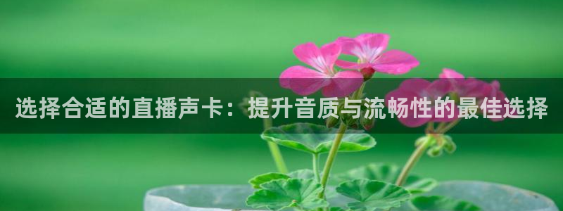 河豚体育直播app：选择合适的直播声卡：提升音质与流畅性的最佳选择