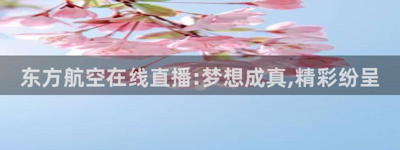 河豚足球比赛直播：东方航空在线直播:梦想成真,精彩纷呈