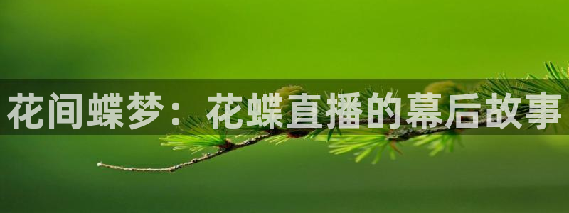 河豚nba体育直播：花间蝶梦：花蝶直播的幕后故事