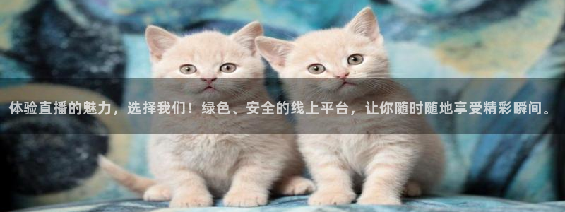 河豚体育nba直播：体验直播的魅力，选择我们！绿色、安全的线上平台，让你随时随地享受精彩瞬间。