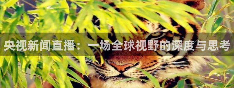 河豚体育nba在线直播：央视新闻直播：一场全球视野的深度与思考
