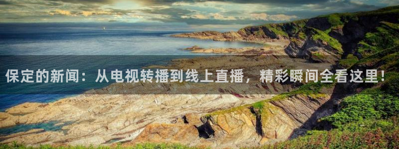 河豚搞笑：保定的新闻：从电视转播到线上直播，精彩瞬间全看这里！
